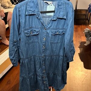 Speed Control Light Blue Denim Dress